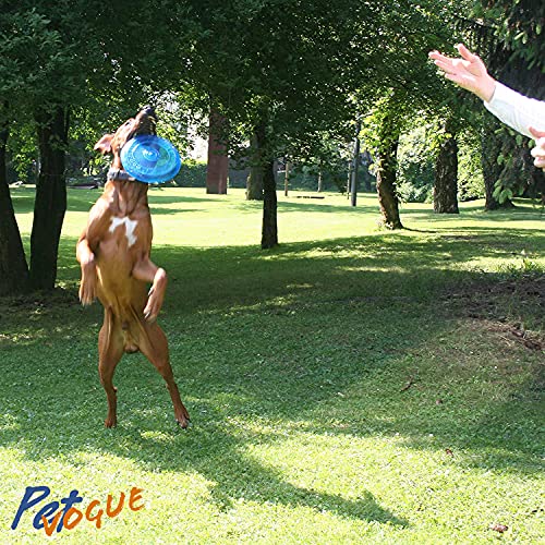 Image of PetVogue Fetching Disc | Flyer Frisbee Rubber I Fetch Dog Toy I Dog and Puppies I Flyer Dog Toy I Flying Saucer I Pet Toys for Small, Medium, Large Pets