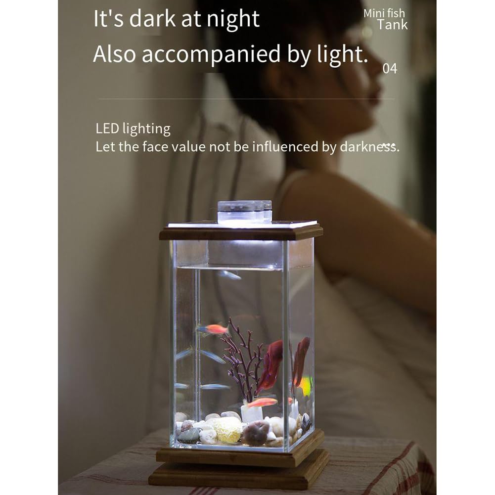 Amazon | マイクロビューボトル生態水族館、ミニ回転魚強化ギフト