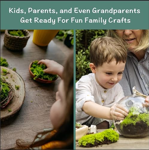 Moss For Potted Plants, Terrarium Moss. Reindeer Moss, Moss For Fairy Garden, Preserved Moss, Moss For Crafts, Green Moss For Planters, Diy Projects & Ideas (Nature Green,3Oz) #TOP2