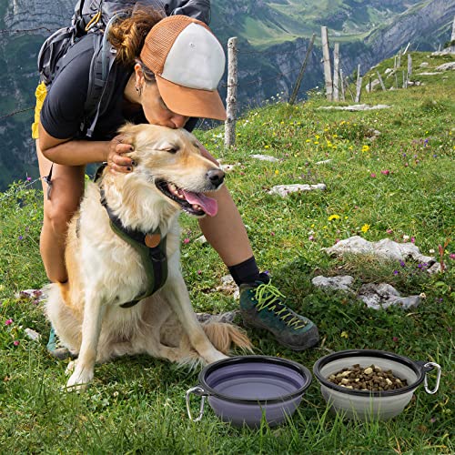 Image of SLSON Plastic Dog Bowl Pet Collapsible Bowls,2 Pack ,Portable Pet Feeding Watering Dish For Walking Parking Traveling With 2 Carabiners (Large,Purple & Concrete Gray) 12.7 Cm,9 Cm,5.5 Cm