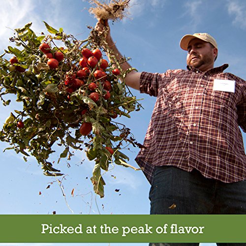 Muir Glen Organic Garlic Cilantro Salsa, 16 Oz #TOP4