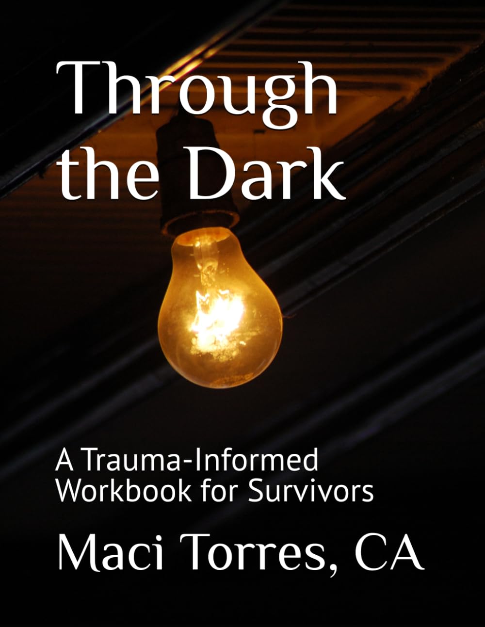 Through the Dark: A Trauma-Informed Workbook for Survivors