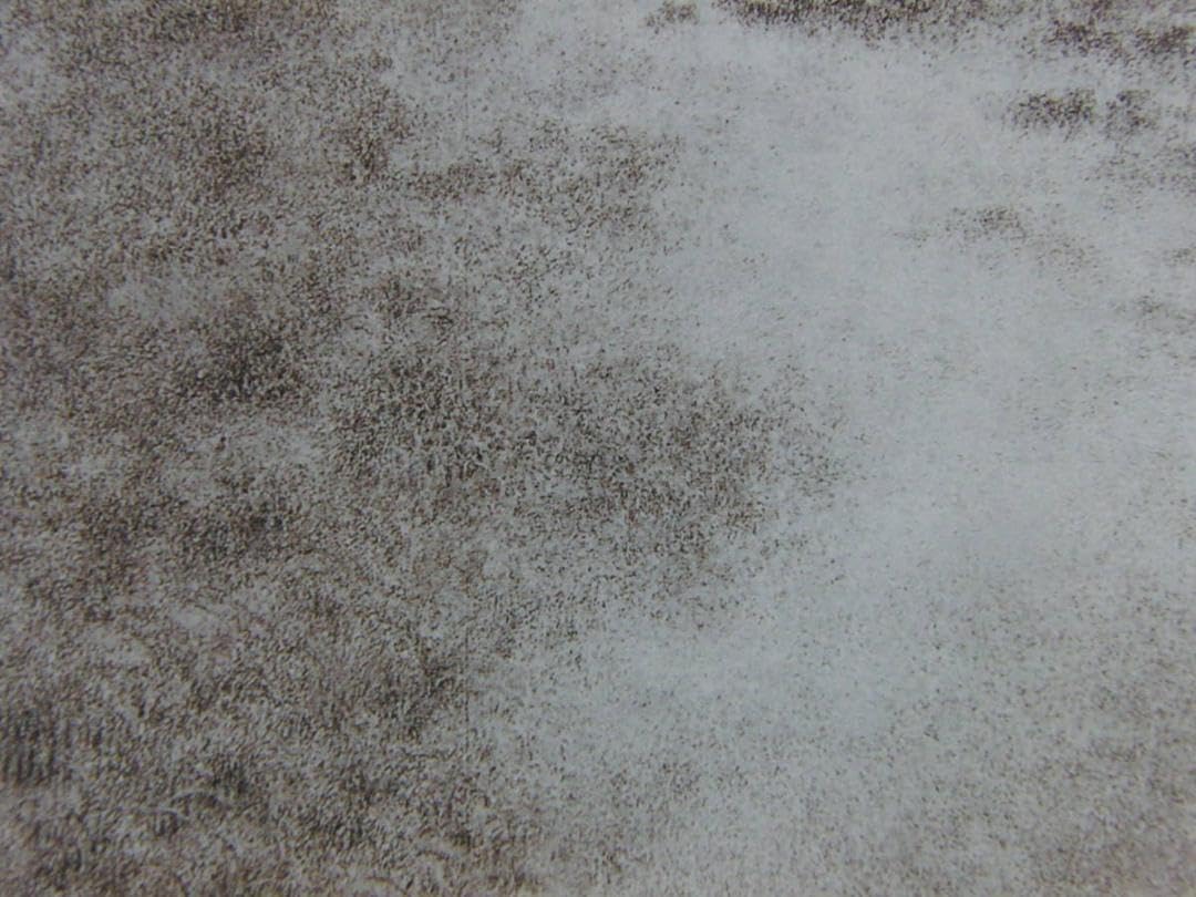 Amazon.co.jp: 高山辰雄、〈雨〉、画集画、高級額額装付、状態良好