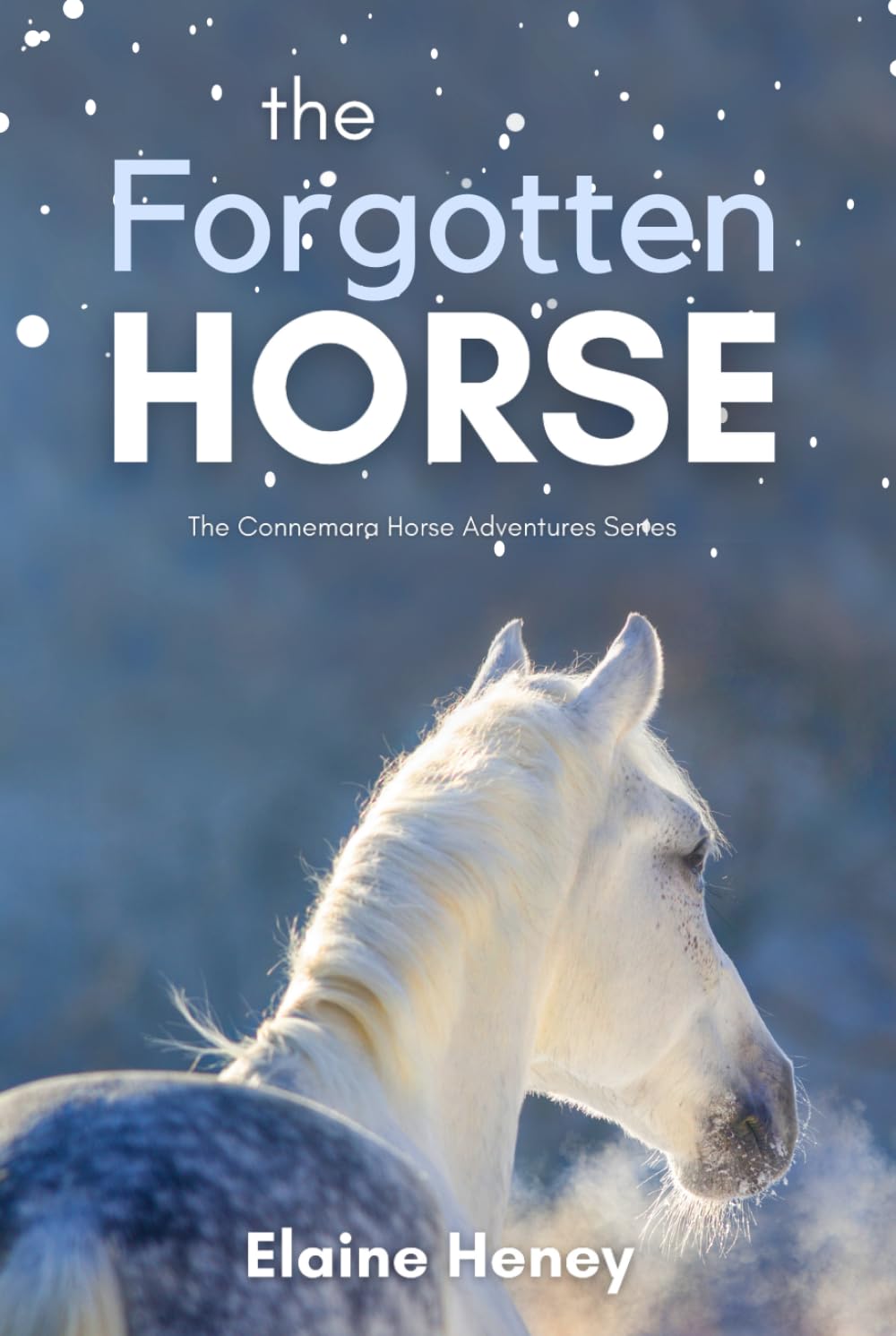 The Forgotten Horse - Book 1 in the Connemara Horse Adventure Series for Kids. The perfect gift for children age 8-12. (Connemara Adventures)