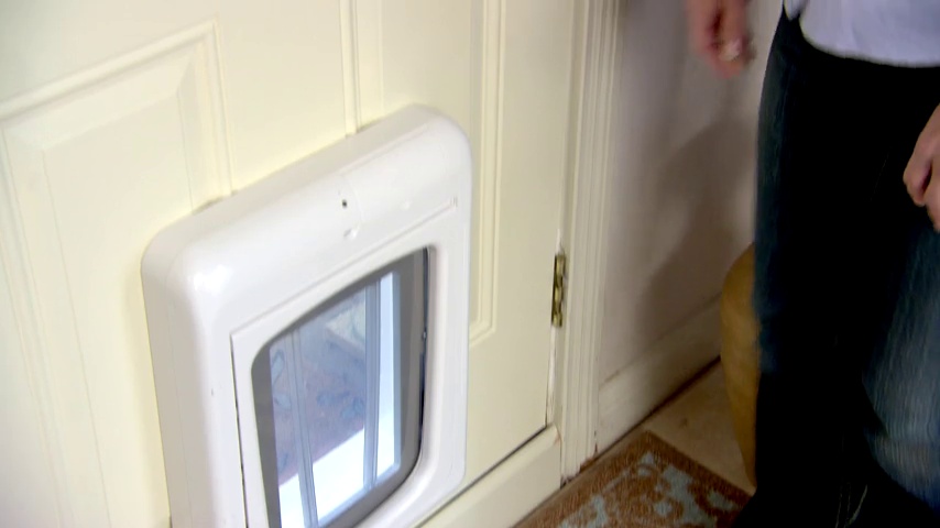PetSafe Interior Cat Door: 2-Way Locking, Indoor Pet Door Flap - Tinted Privacy Door for Cat Litter Box or Pet Feeder… - Image 7