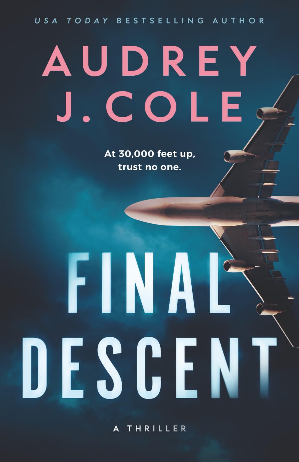 Final Descent: A Novella