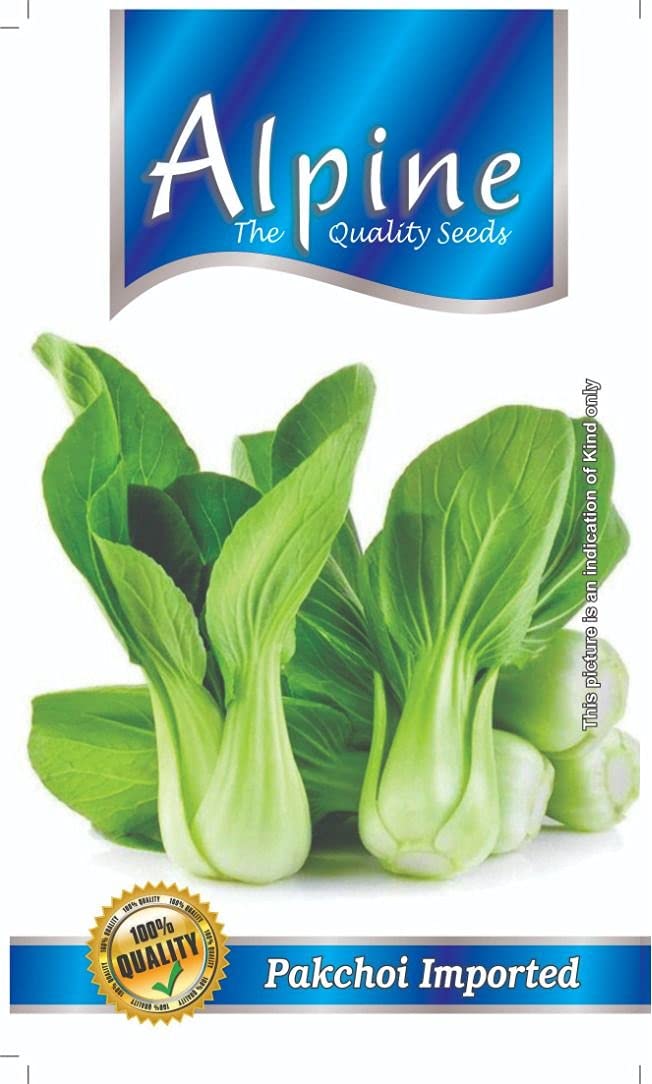 Alpine Fresh Green Pakchoi Imported Seeds (50 Seeds/Packet) (B09FGQQR4G) Amazon Price History, Amazon Price Tracker