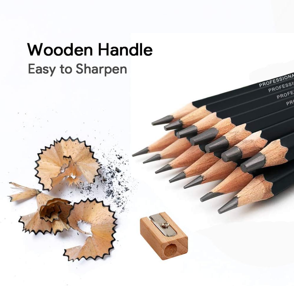Image of PAXCOO Set of 12 Pcs Professional Drawing Sketching Pencil Drawing Art Pencils Graphite Shading Pencils for Beginners & Pro Artists Professional Sketch,Suitable for Art Design, Shading, Adults & Kid
