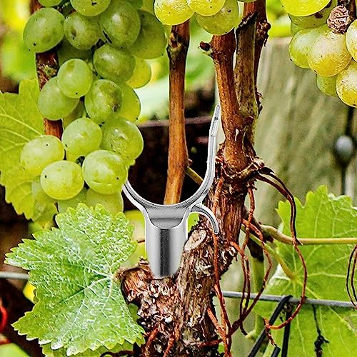 Happyyami 6Pcs Metal Tree Branch Support Stakes Crutch Tree Holder Bracket Accessories for Plant Fruited Trees 9X5.5CM - Image 4