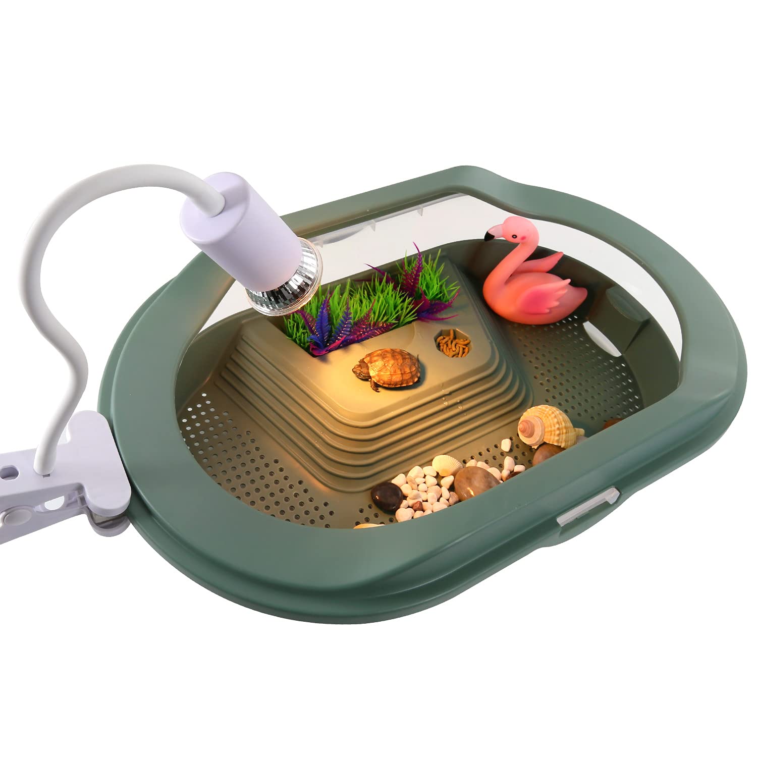 Buy Rochix Turtle Habitat Reptile Tank Aquarium Terrapin Lake with