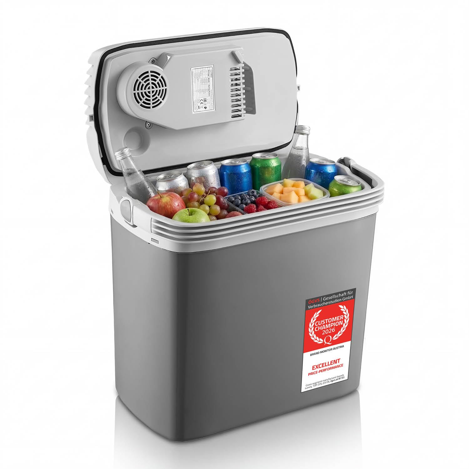 TZS First Austria - Termoelektryczna lodówka podróżna 16 l – 3-krotne zasilanie w zestawie USB-C PD 3.0 – chłodzenie i ogrzewanie – 12 V/230 V/USB-C – szara/jasnoszara