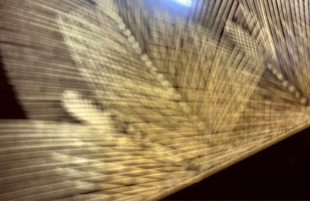 71000365_6