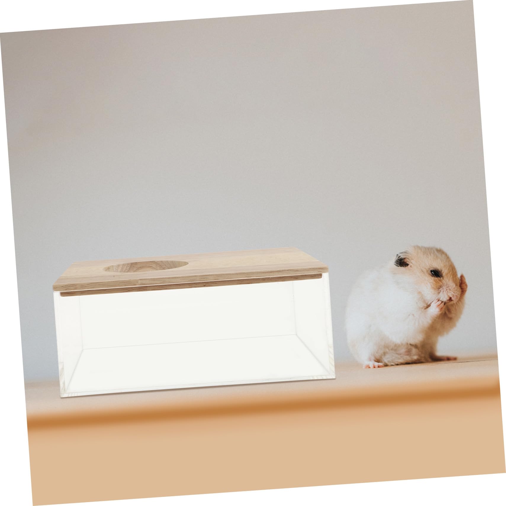 Gatuida Transparente Hamster Sandbadewanne mit Multifunktionalem Design als Toilette und Badewanne für Hamster Chinchilla Mäuse und Kleintiere Einfach zu Reinigen und Sicher für Zuhause