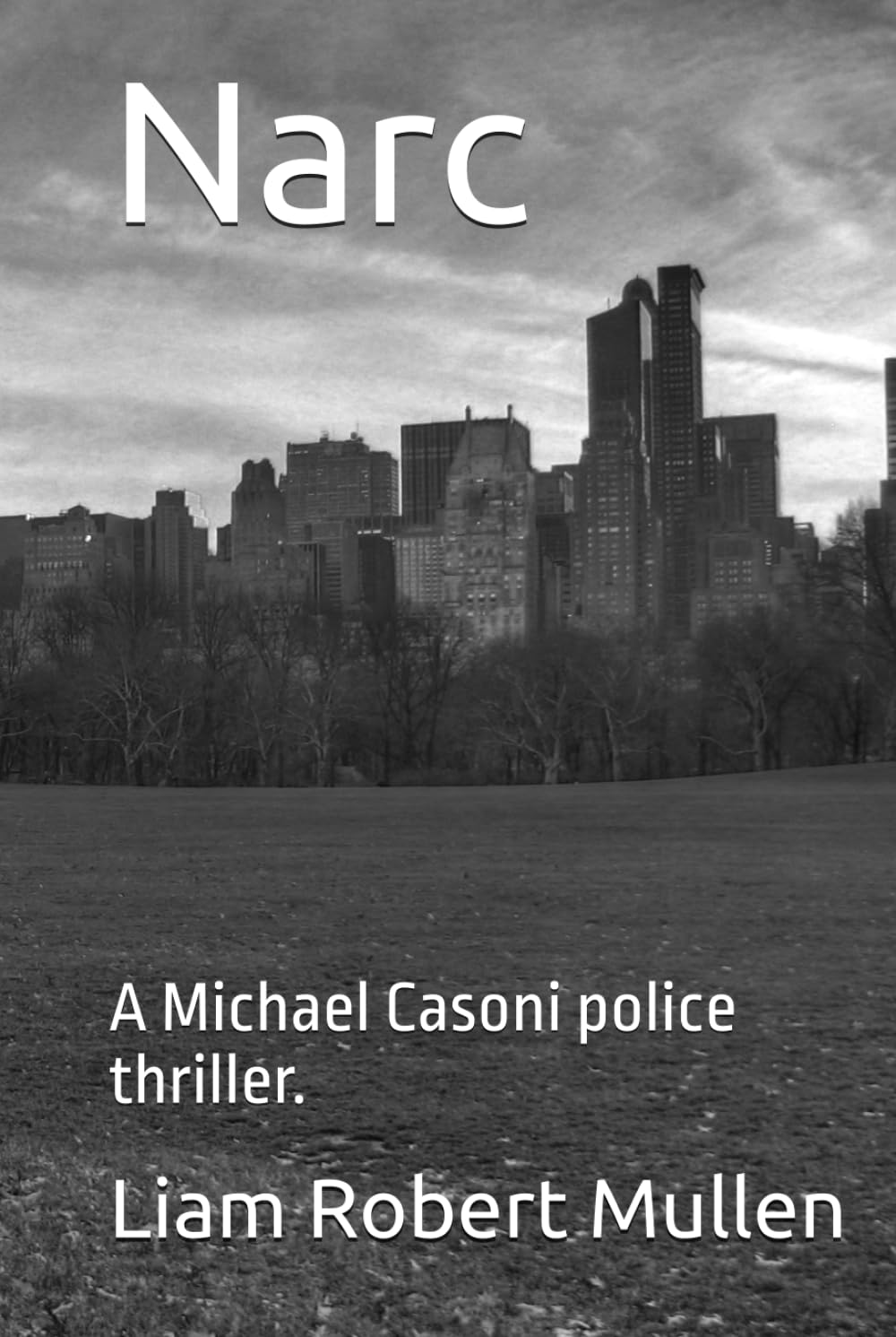 Narc: A Michael Casoni police thriller.