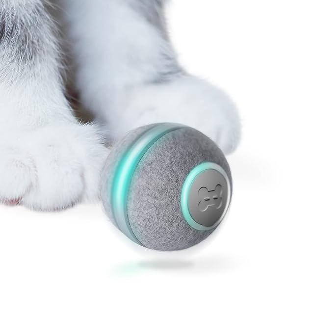 Foto 2 de 7 de Cheerble Mini Ball 2.0 - La Pelota Que Rueda Sola, Inteligente e interactiva para Gatos