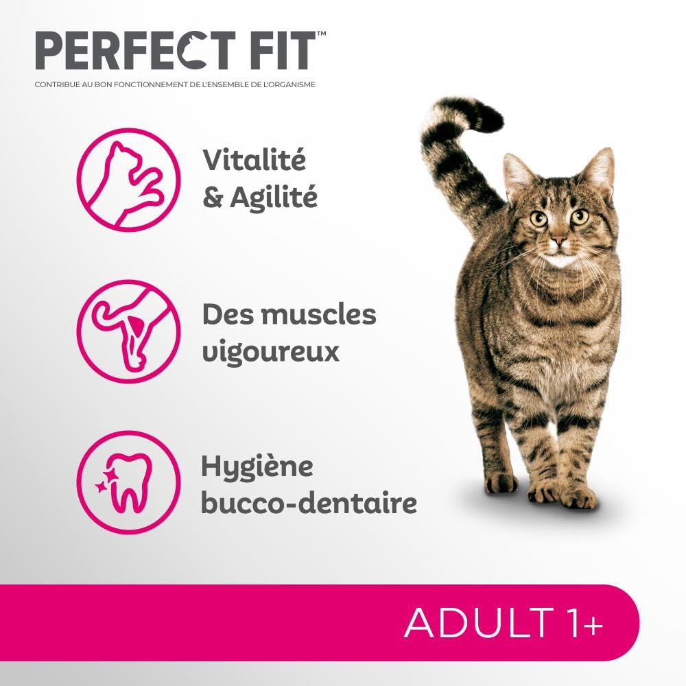 PERFECT FIT Adulte 1+ Croquettes pour chat adulte – Répond à des besoins spécifiques d'un chat stérilisé – Nourriture Riche en Saumon – 1,4 kg (Lot de 5)