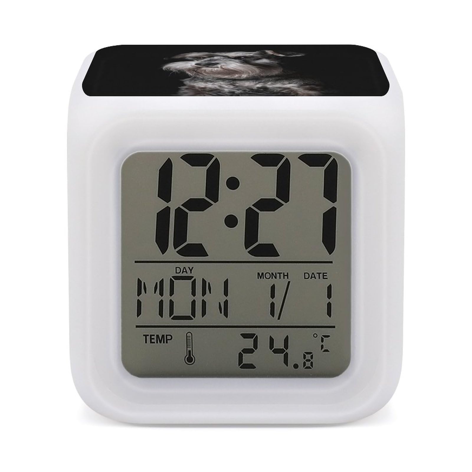 Amazon.co.jp: ミニチュアシュナウザーの肖像画 デジタル時計おしゃれ