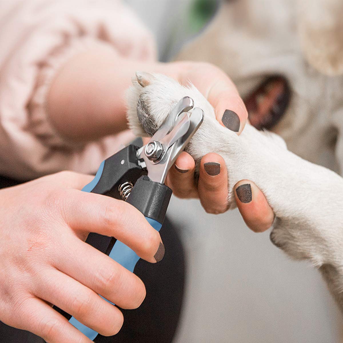 犬の爪切り、ペットのためのプロのグルーミングツール安全で使いやすい安全ガード付き ペット用 爪切り 犬用爪切り 猫用爪切り 柴犬 つめ切り ネイル