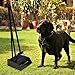EXPAWLORER Dogs Poop Scooper 37.4 Inches Pet Poop Tray, Rake and Spade Set with Detachable Long Handle Stainless Steel for Medium to Large Pets