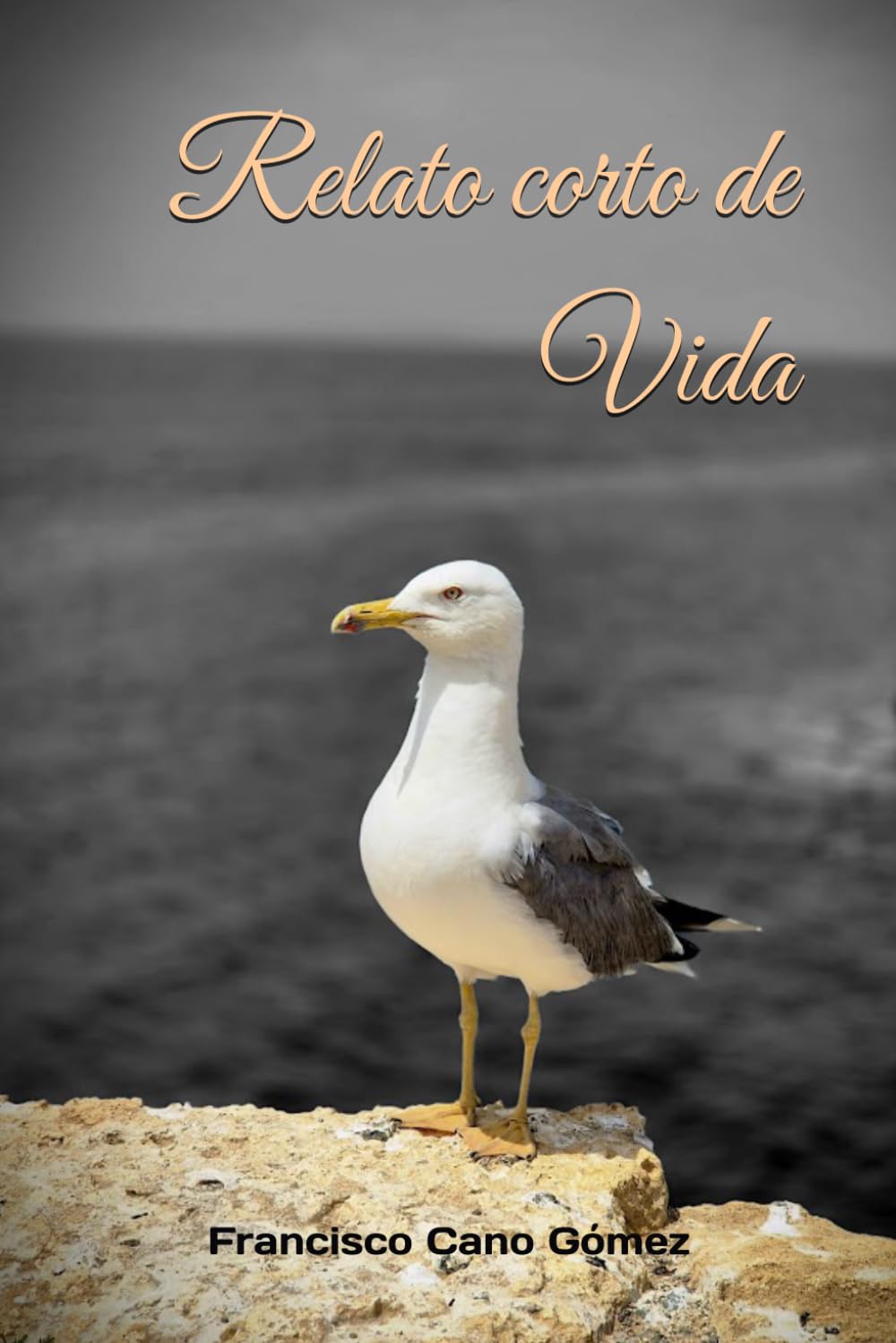 Relato corto de Vida