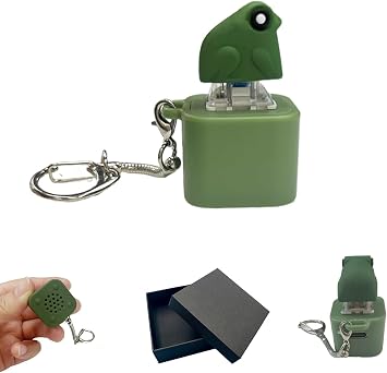 Lispin Frog Croaking Fidget Toy,Adults Keyboard Clicker Frog Fidget Toys-Fun USB-C Keychain with Colorful Lights, Stress Reliever for Anxiety & Sensory Fun