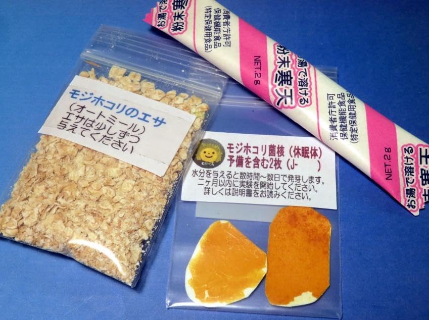 値下げしました。フリージアボート（折りたたみ式） 【公式通販】