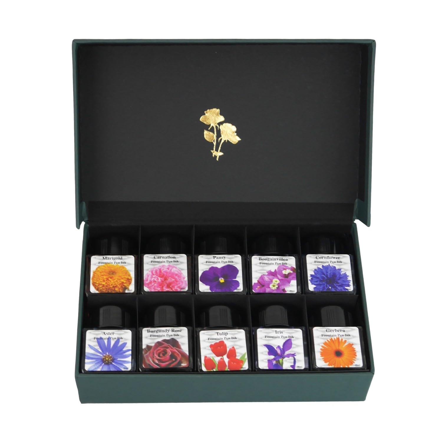 Diamine Musik Tinten-Set – 10x 30 Ml, Limitierte Edition, Handgemachte Manufakturtinte