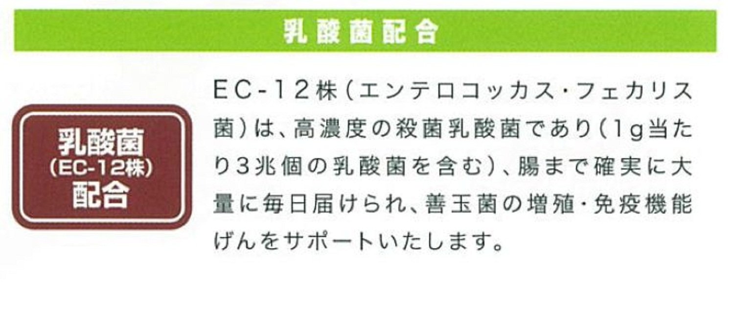 Amazon | イースター デグーセレクション 400g×10 (ケース販売