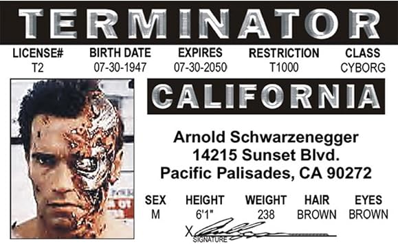 Signs 4 Fun Parody Drivers License | Arnold S ID | Fake ID Novelty Card | Collectible Trading Card Drivers License | Novelty Gift for Holidays | Made in The USA