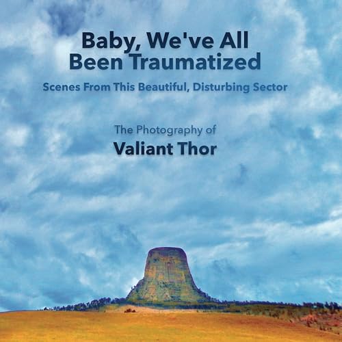 Baby, We've All Been Traumatized: Scenes From This Beautiful, Disturbing Sector: The Photography of Valiant Thor