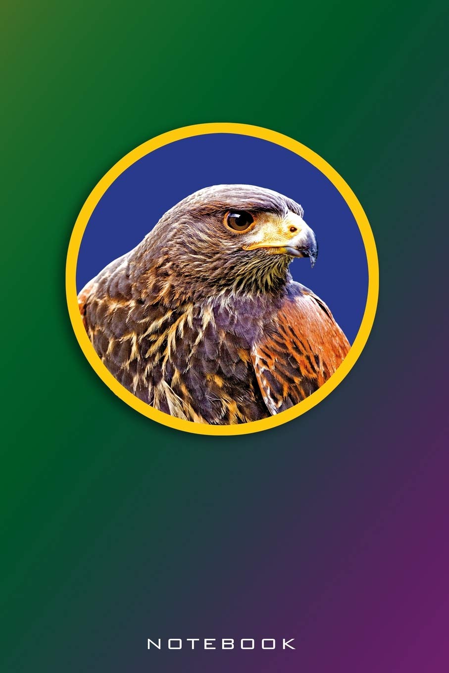 Notebook: Desert Buzzard, Harris Hawk, Buteo. Format A5, 120 pages, fine light grey lined. Daily entries, notes and journal for the falconer, Ornithologist, nature and bird friends.
