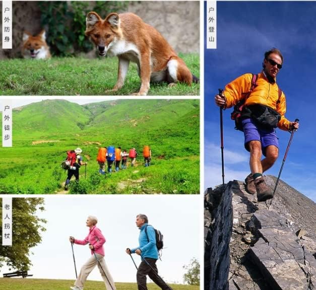 Miniatura 4 de Bastones de senderismo de aleación de aluminio con sistema de bloqueo rápido, bastón de senderismo telescópico para campamento y montañismo