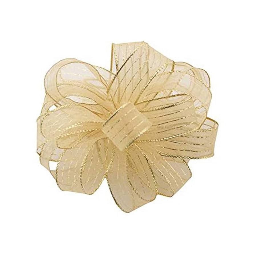 Amazon.com: Berwick STR-003-50-GOG Offray Striped Chiffon