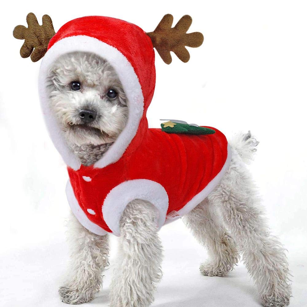 puppy xmas outfits