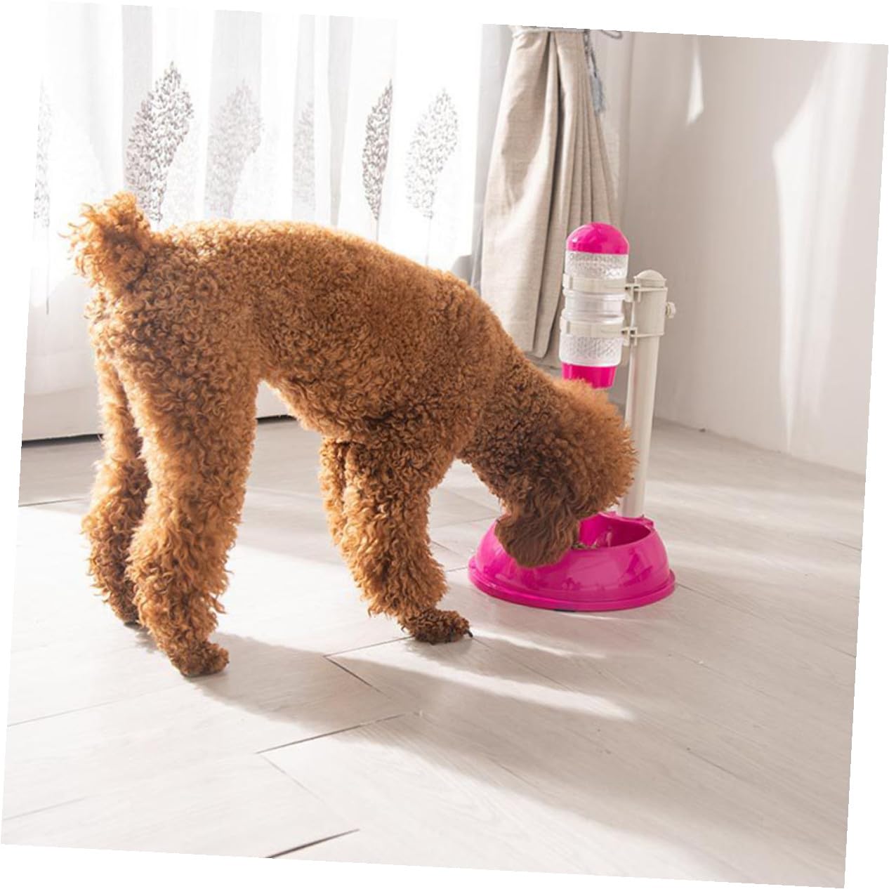 Alimentador Automático para Mascotas Bebedero y Tazón 500ml
