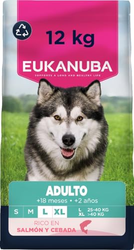 Eukanuba, alimento seco para Perros con Salmón y Cebada para Razas Grandes- Alimento seco Premium para Perro Adultos, 12 kg