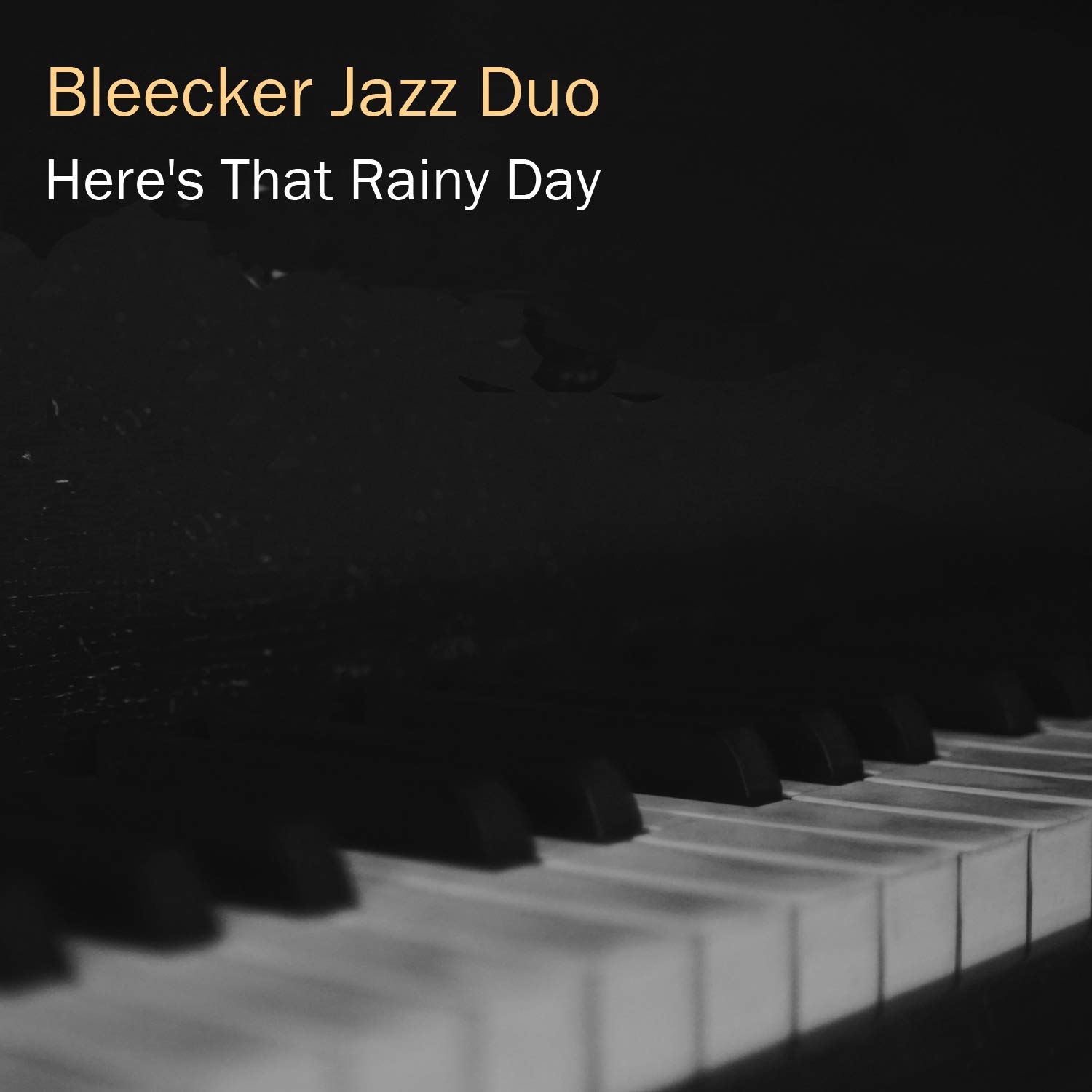 Bleecker Jazz Duo