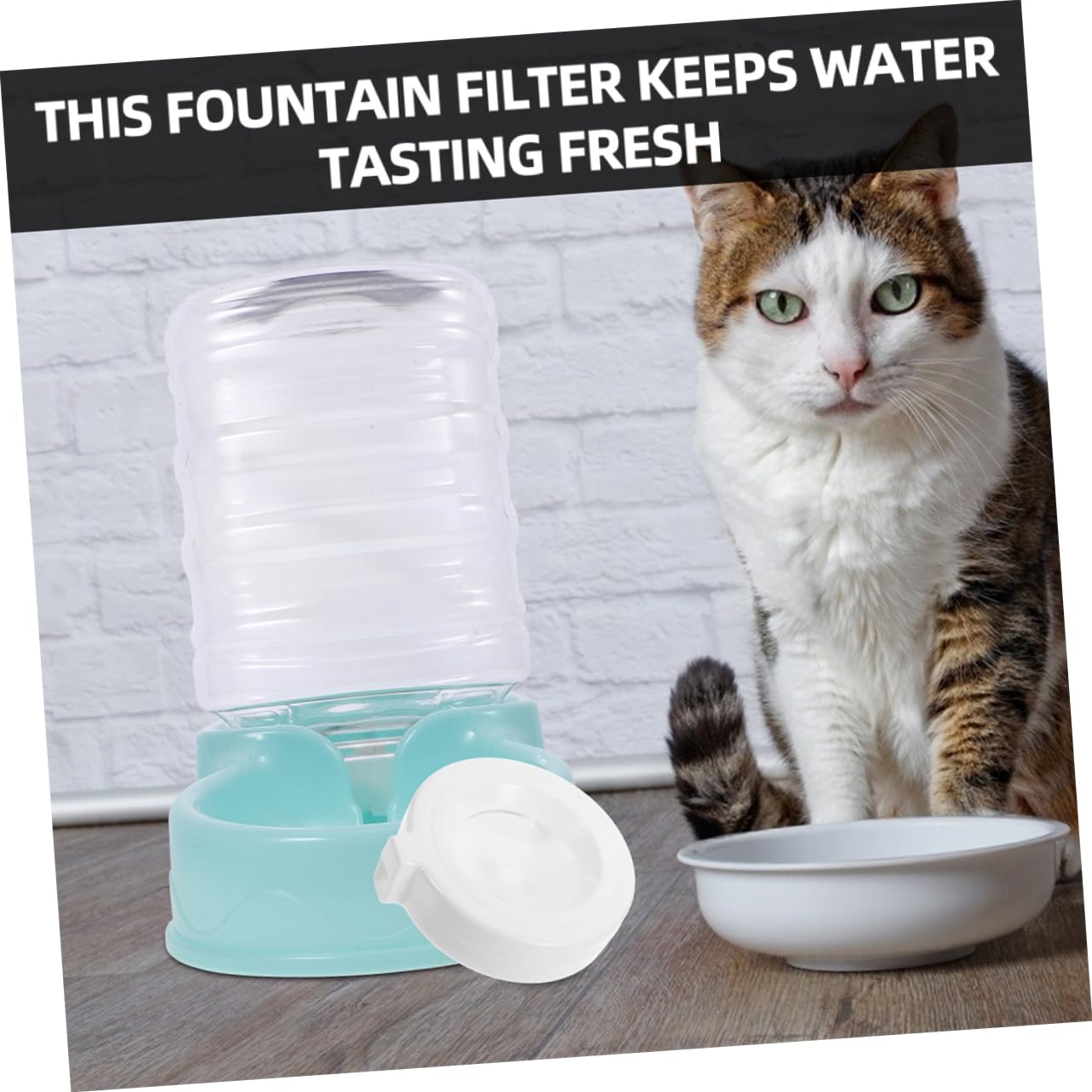 8stücke Ersatzfilter Für Katzen Und Hundetrinkbrunnen Aktivkohlefilter Für Sauberes Wasser Kompatibel Mit Trinkspender Effektive Geruchs Und Verunreinigungsentfernung