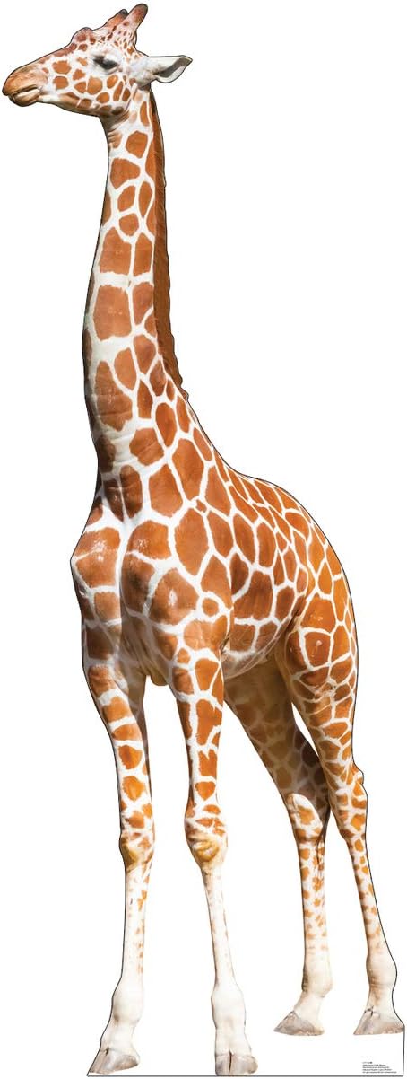 Advanced Graphics Giraffe Life Size Cardboard Cutout Standup