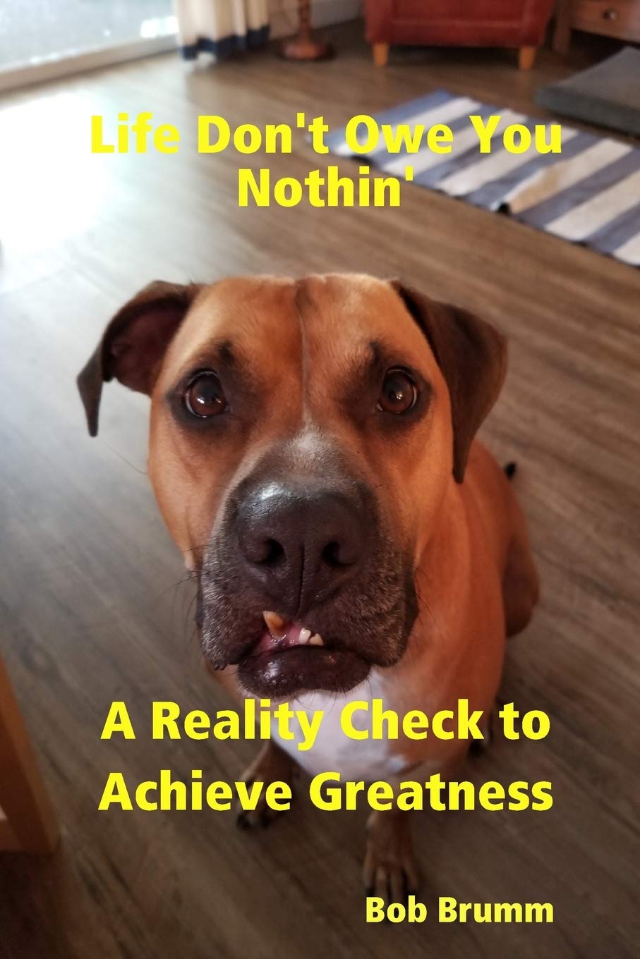 Life Don't Owe You Nothin'