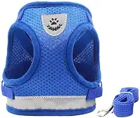 Coleira Peitoral para Cachorros e Gatos com Colete Reflexivo Regulável e Guia de Passeio (Azul, P)