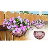 Metal Wall Flower Basket with Coco Coir Liner Balcony Flower Pot Holder Half Round Semi Circle Ve...