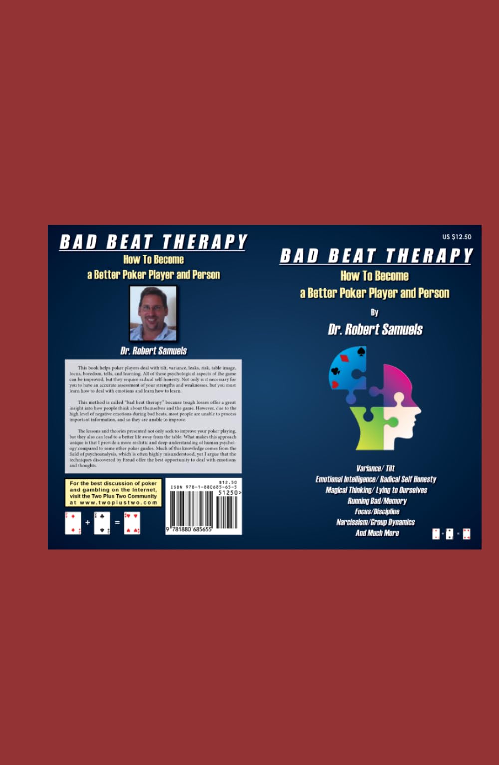Bad Beat Therapy: How To Become a Better Poker Player and Person (Poker Psychology Books)