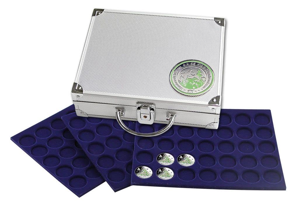SAFE 304 - Maletín para monedas (aluminio, para 180 monedas con cápsulas, 250 x 215 x 70 mm)