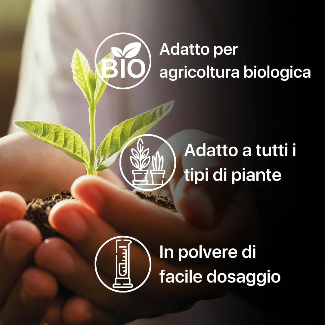 ZOMA RADINAT 100% naturalny proszek do ukorzeniania sadzonek, proszek ukorzeniający z grzybami rozwijającymi się i kiełkującymi, biostymulator korzeni