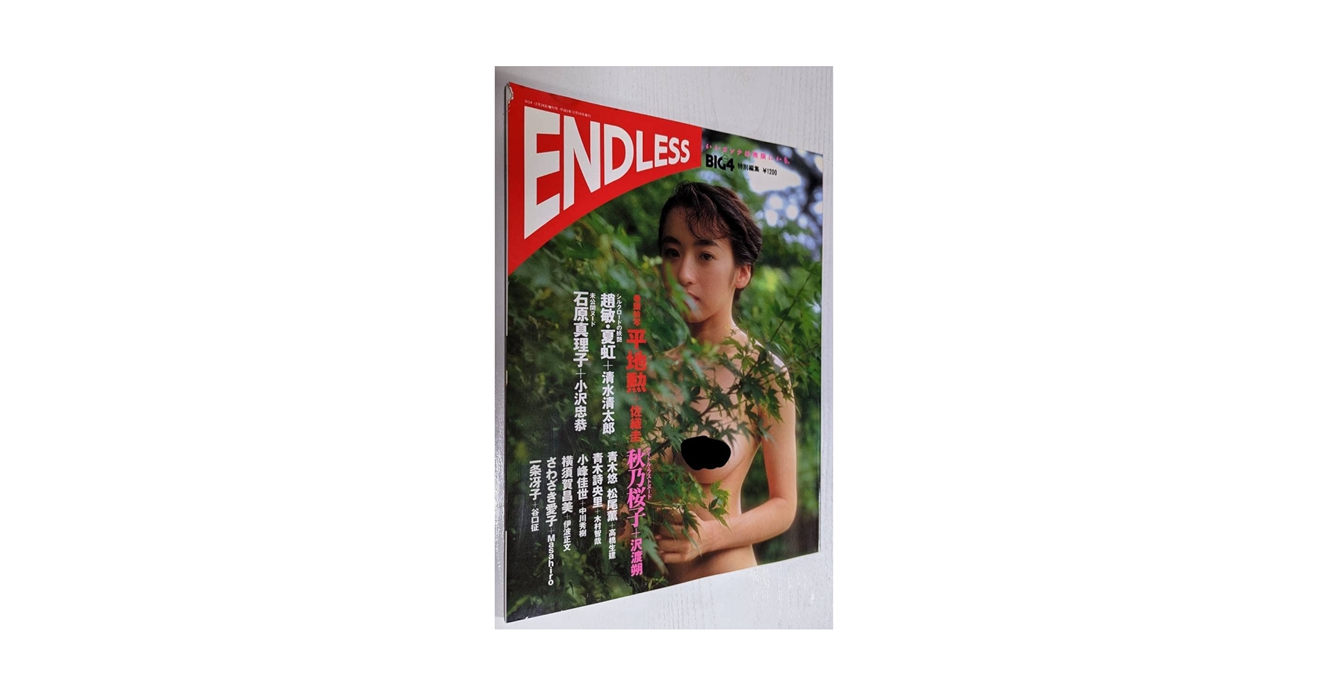 Amazon.co.jp: BIG4特別編集 ENDLESS VOL.1 秋乃桜子 石原真理子
