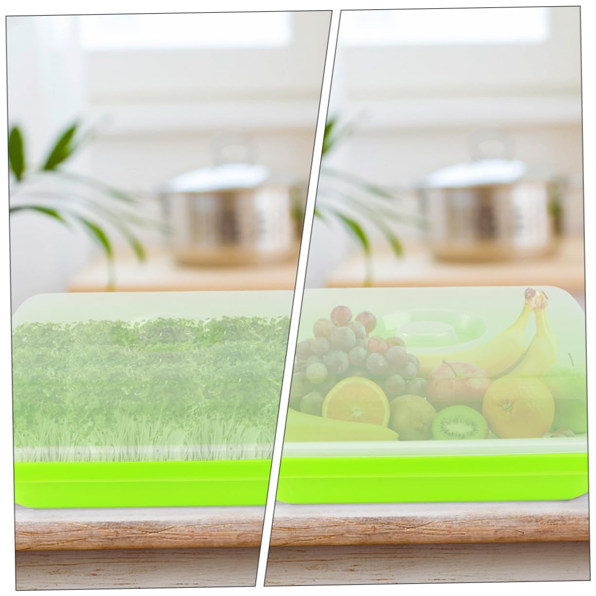 Bandeja para Germinadores Verde Tapa, 2 Juegos de Plástico | Cultivo sin Tierra, Conservación de Humedad, Diseño Seguro para Semilleros y Brotes Estilo Aleatorio