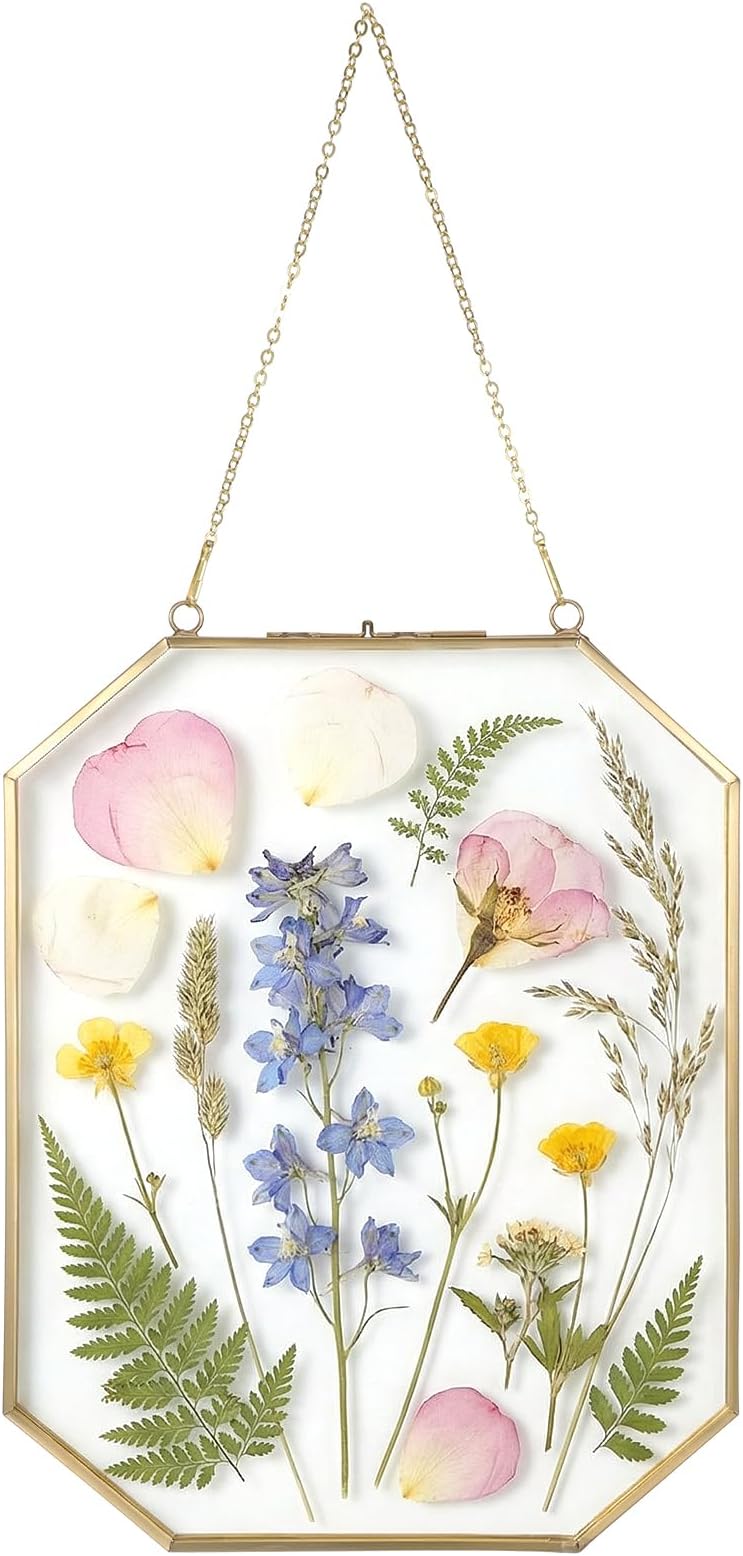 8x10 inch Double Glass Hanging Frame, Glass Pressed Flower Frames for Pressed Flower, Octagon Herbarium, Clear DIY Vintage Artwork Display Frame with chain for Specimen, Certificate, Home Decor
