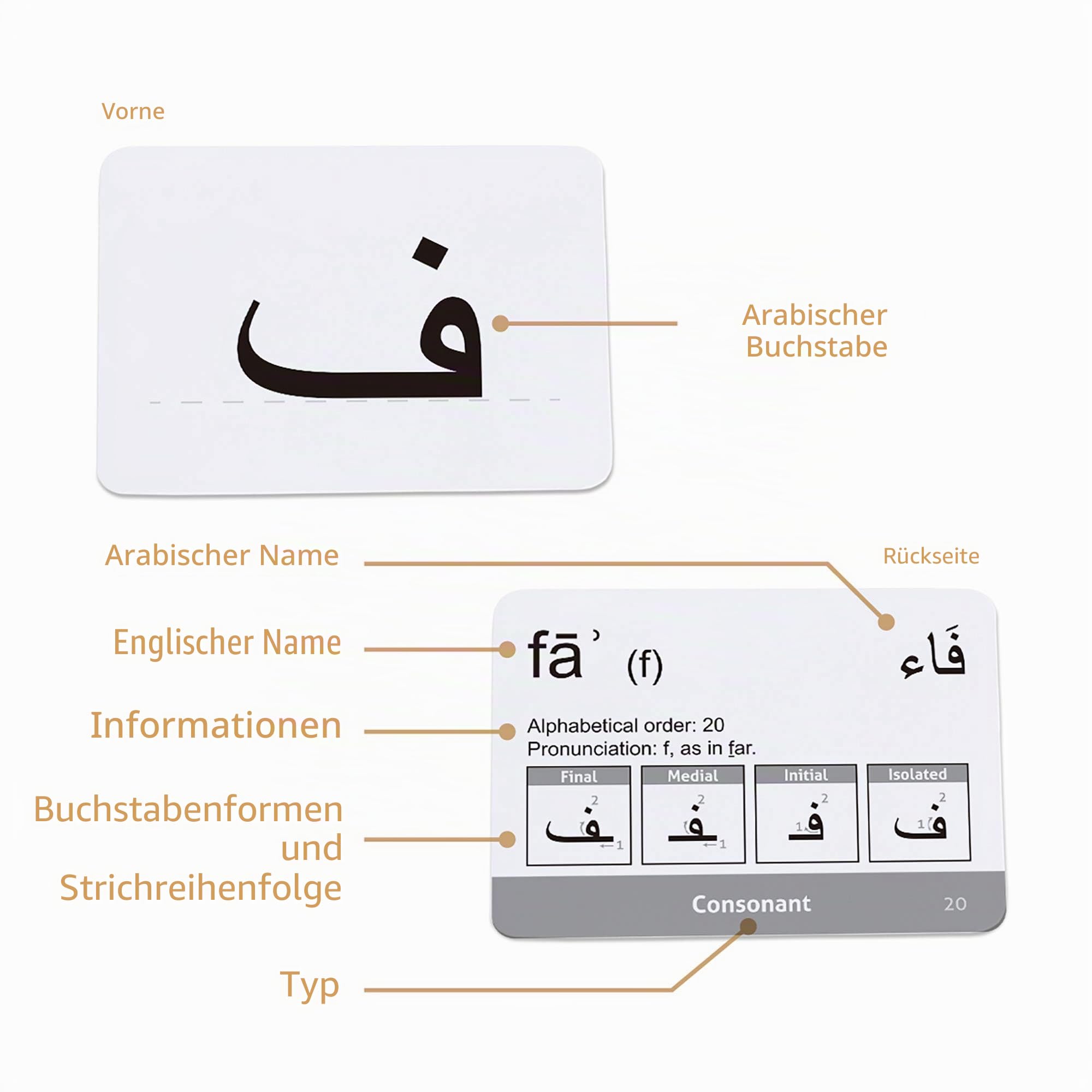 CARDDIA Arabische Alphabet-Lernkarten (inkl. Konsonanten, Vokale, diakritische Zeichen und Ziffern)