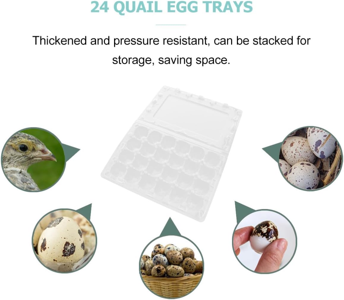 12pcs Plastic Quail Egg Storage Box with 24 Egg-shaped Compartments Large Capacity Egg Holder with Easy and Tight Lock for Refrigerator and Picnic